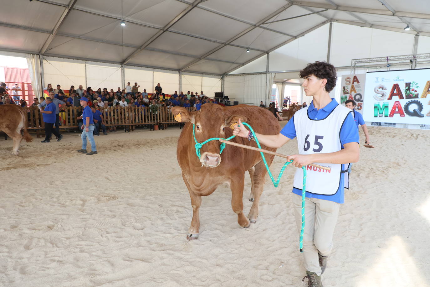 Las mejores imágenes del primer día de Salamaq 2025