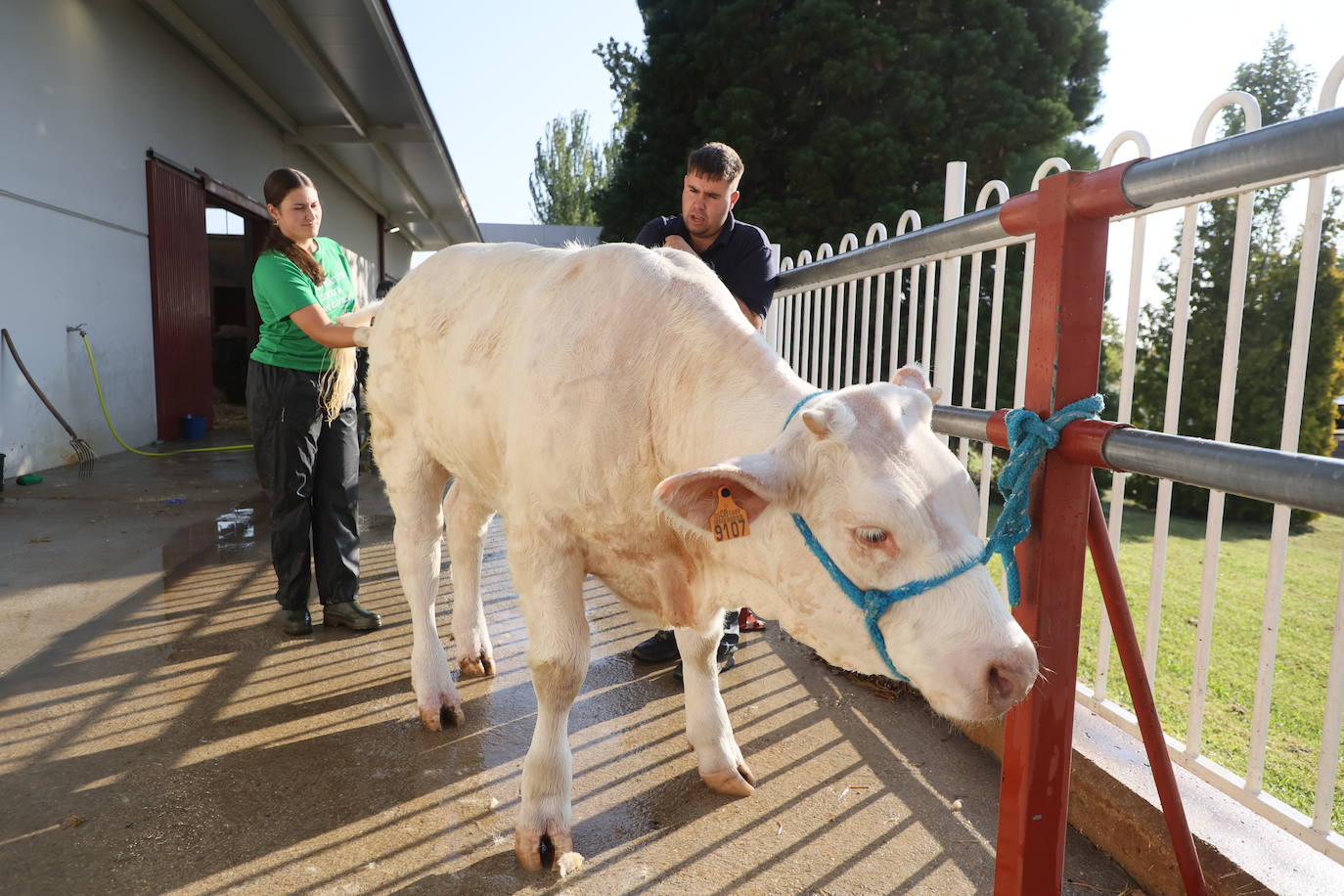 Las mejores imágenes del primer día de Salamaq 2025