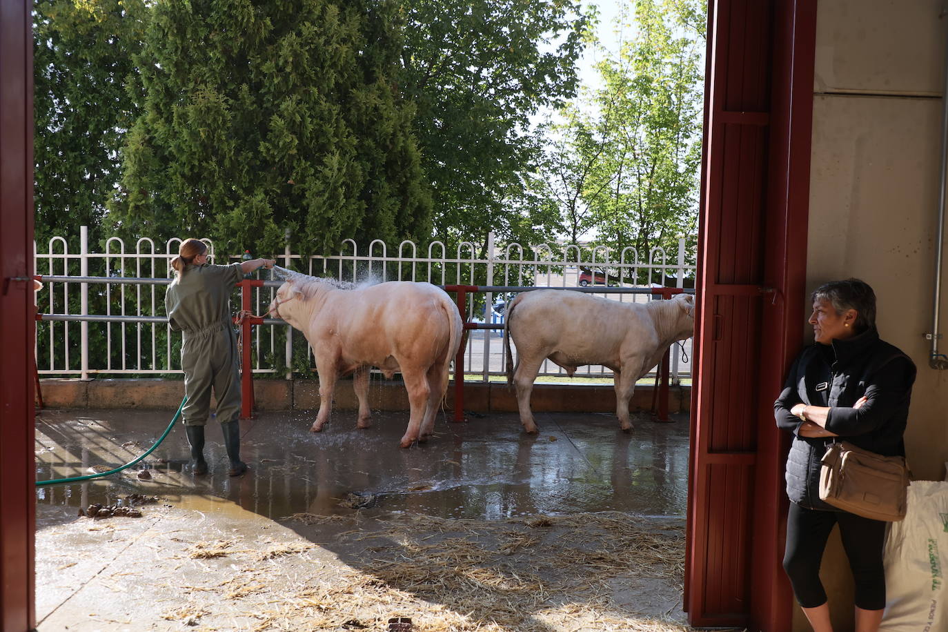 Las mejores imágenes del primer día de Salamaq 2025