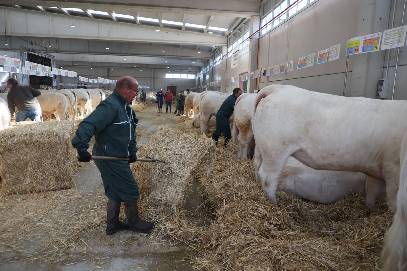 Las mejores imágenes del primer día de Salamaq 2025