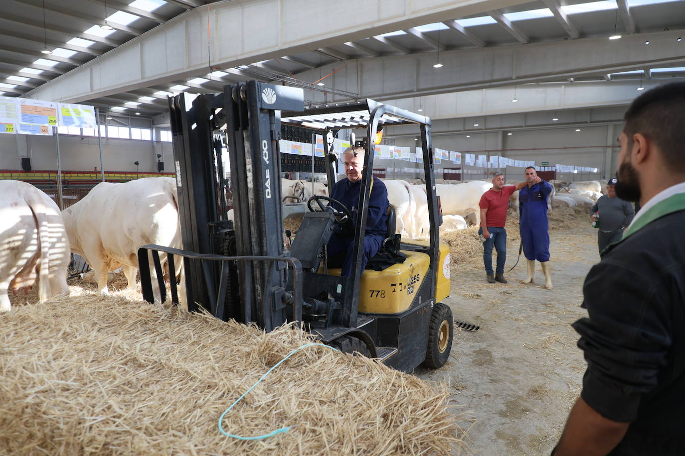 Las mejores imágenes del primer día de Salamaq 2025