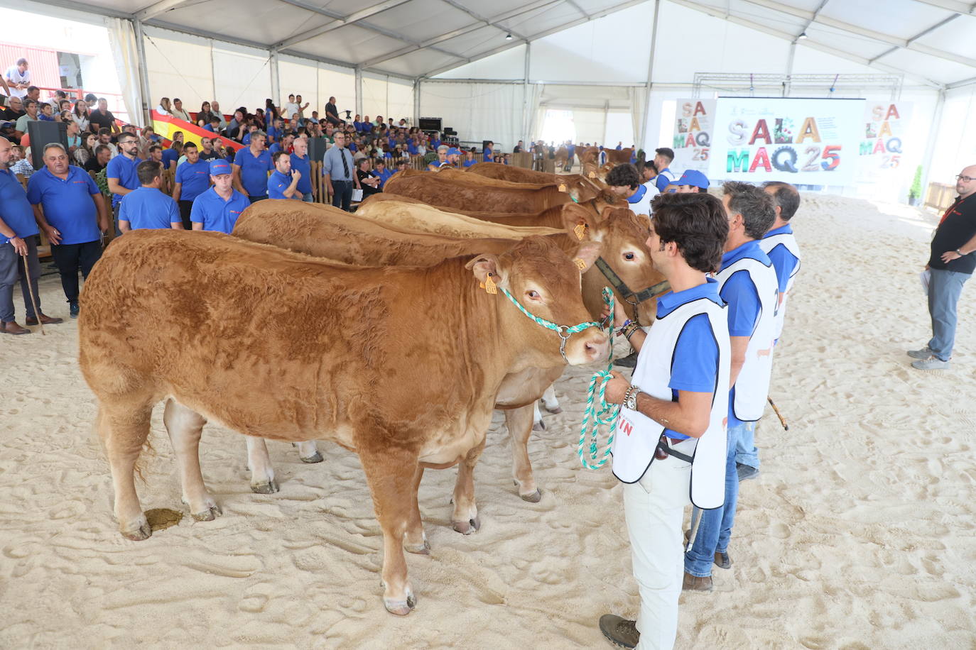 Las mejores imágenes del primer día de Salamaq 2025