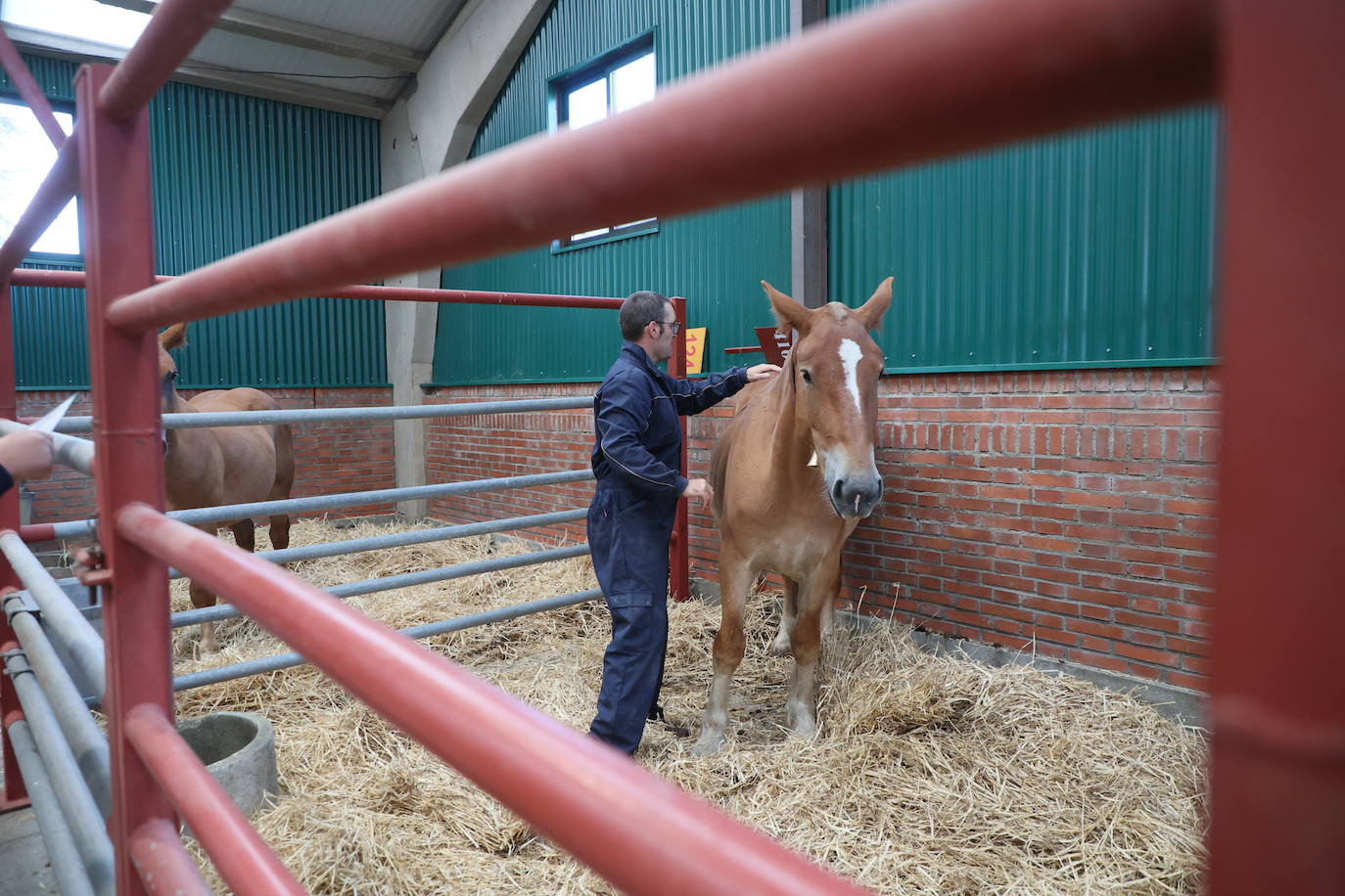 Las mejores imágenes del primer día de Salamaq 2025