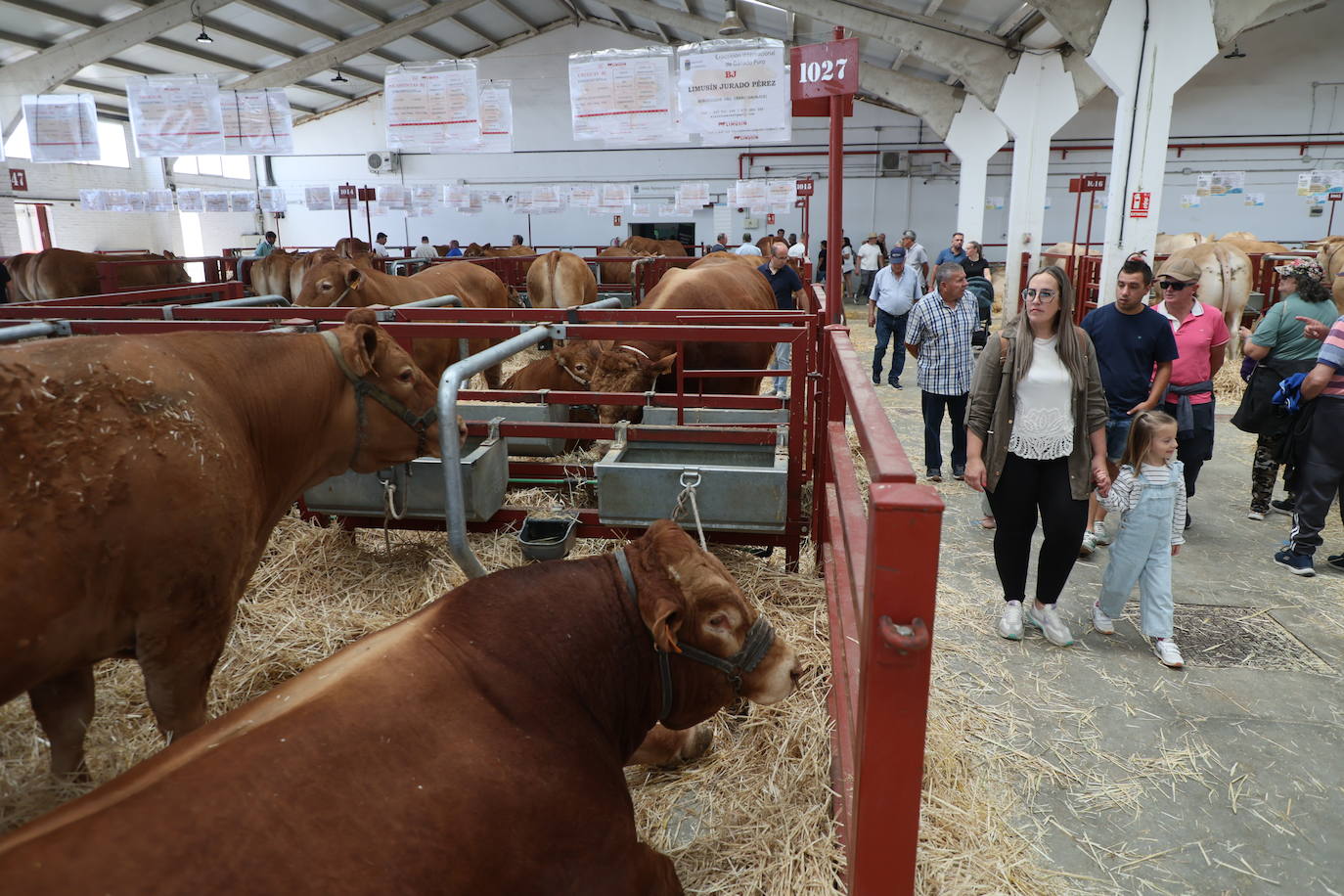 Las mejores imágenes del primer día de Salamaq 2025