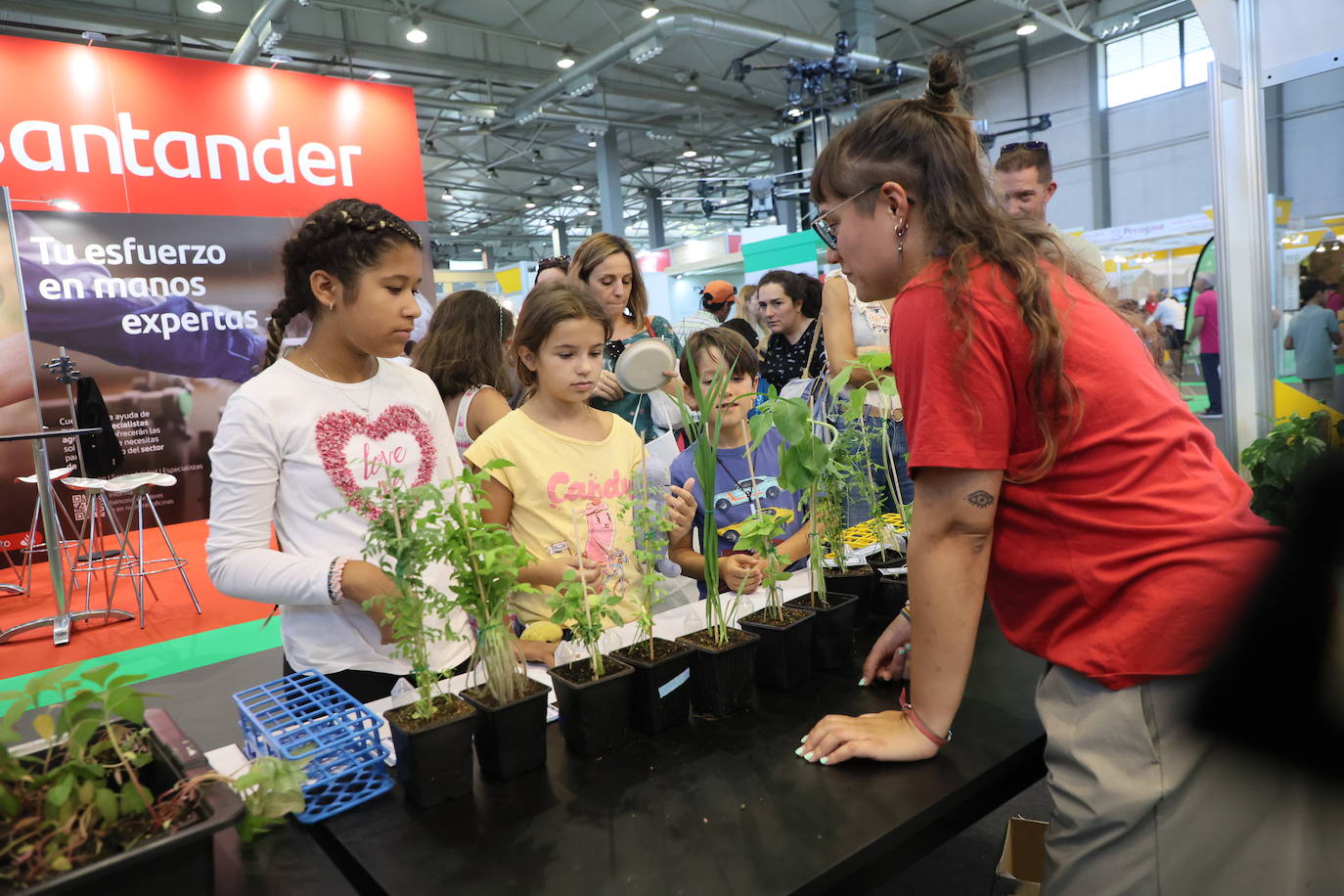 Las mejores imágenes del primer día de Salamaq 2025