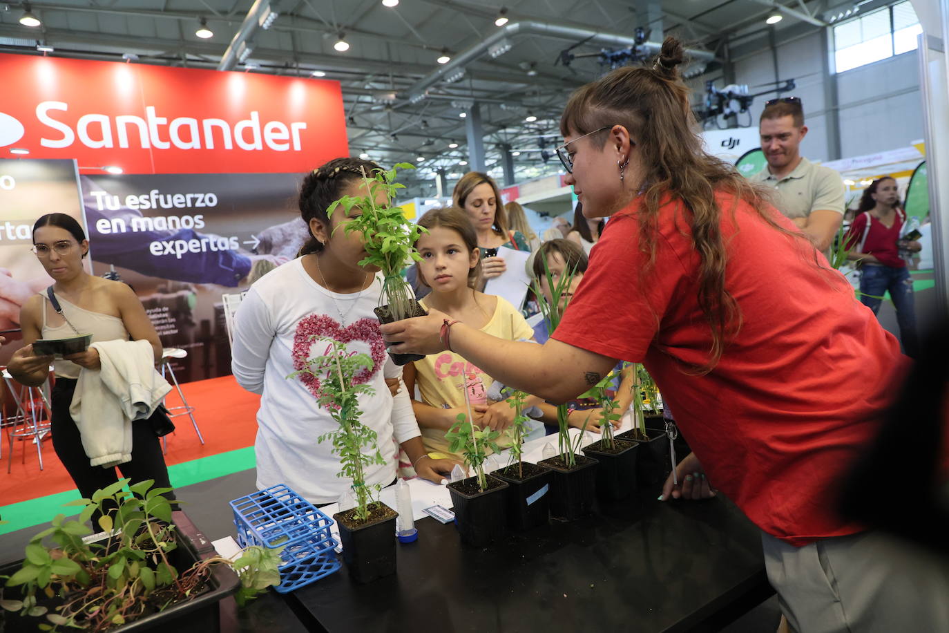 Las mejores imágenes del primer día de Salamaq 2025