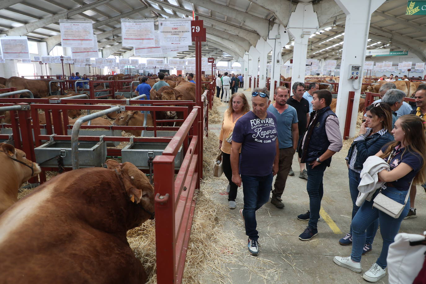 Las mejores imágenes del primer día de Salamaq 2025