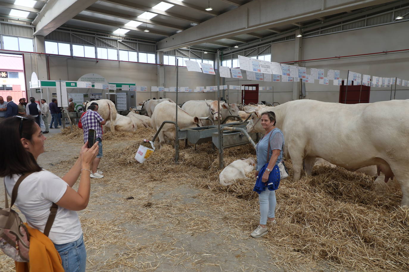 Las mejores imágenes del primer día de Salamaq 2025