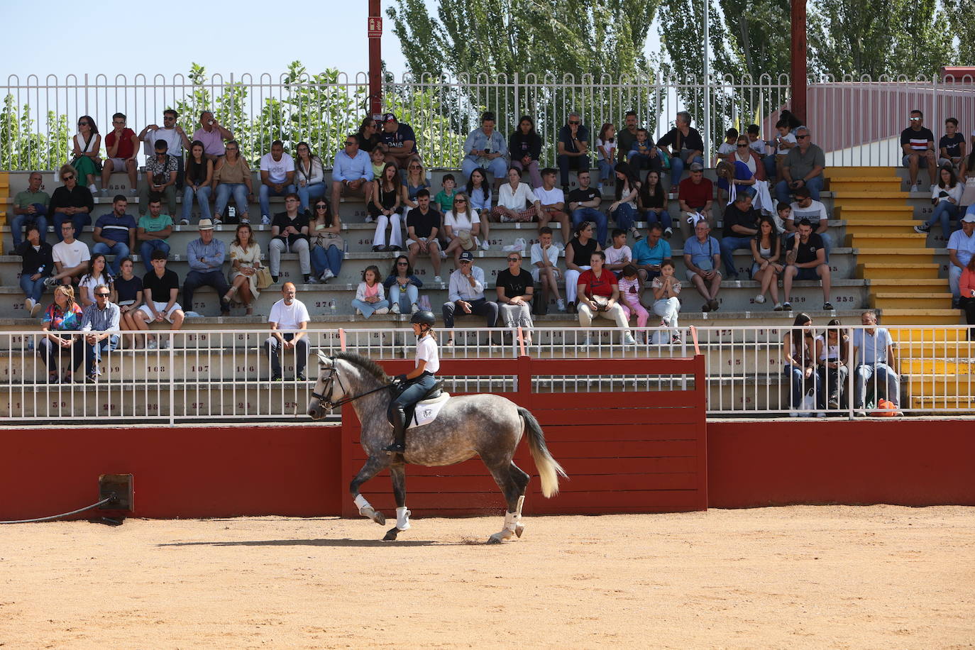 Las mejores imágenes del primer día de Salamaq 2025