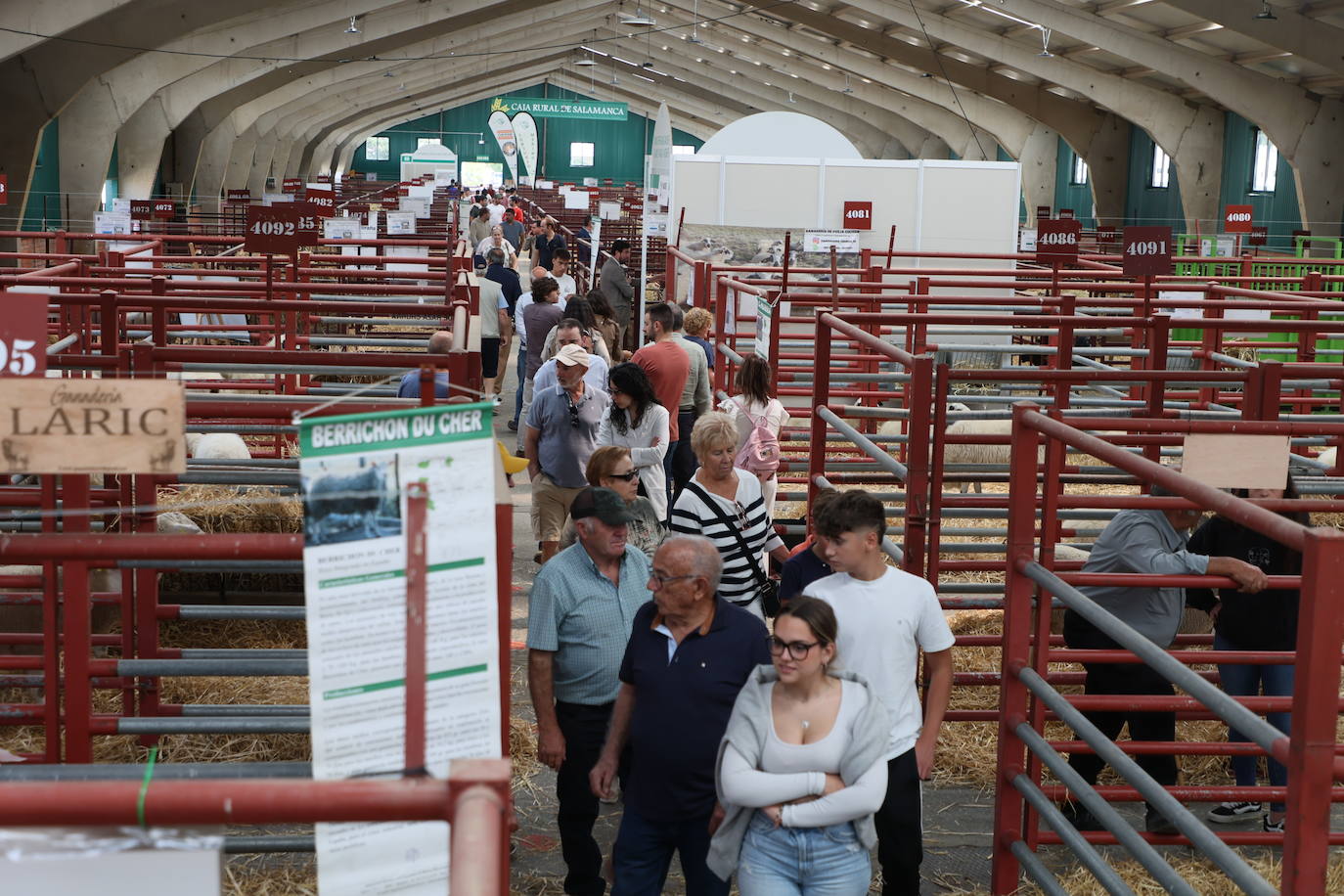 Las mejores imágenes del primer día de Salamaq 2025