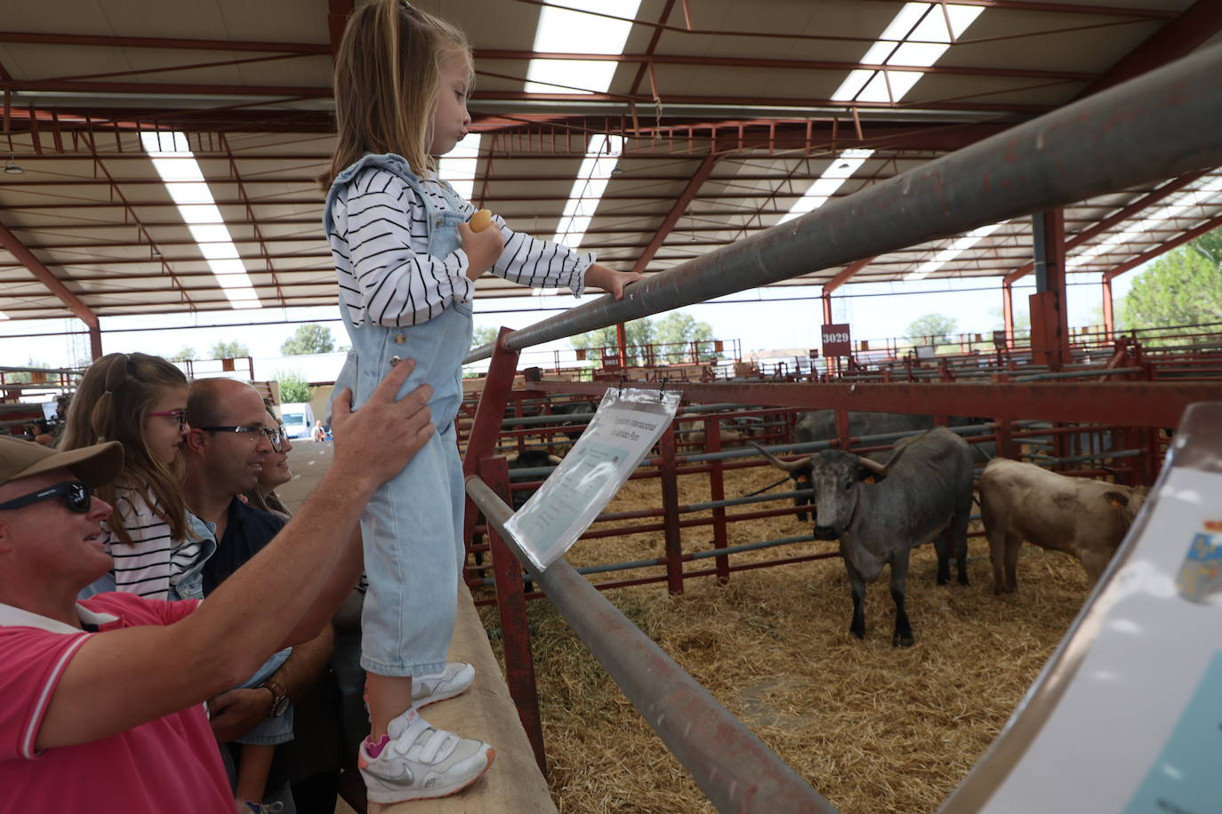Las mejores imágenes del primer día de Salamaq 2025