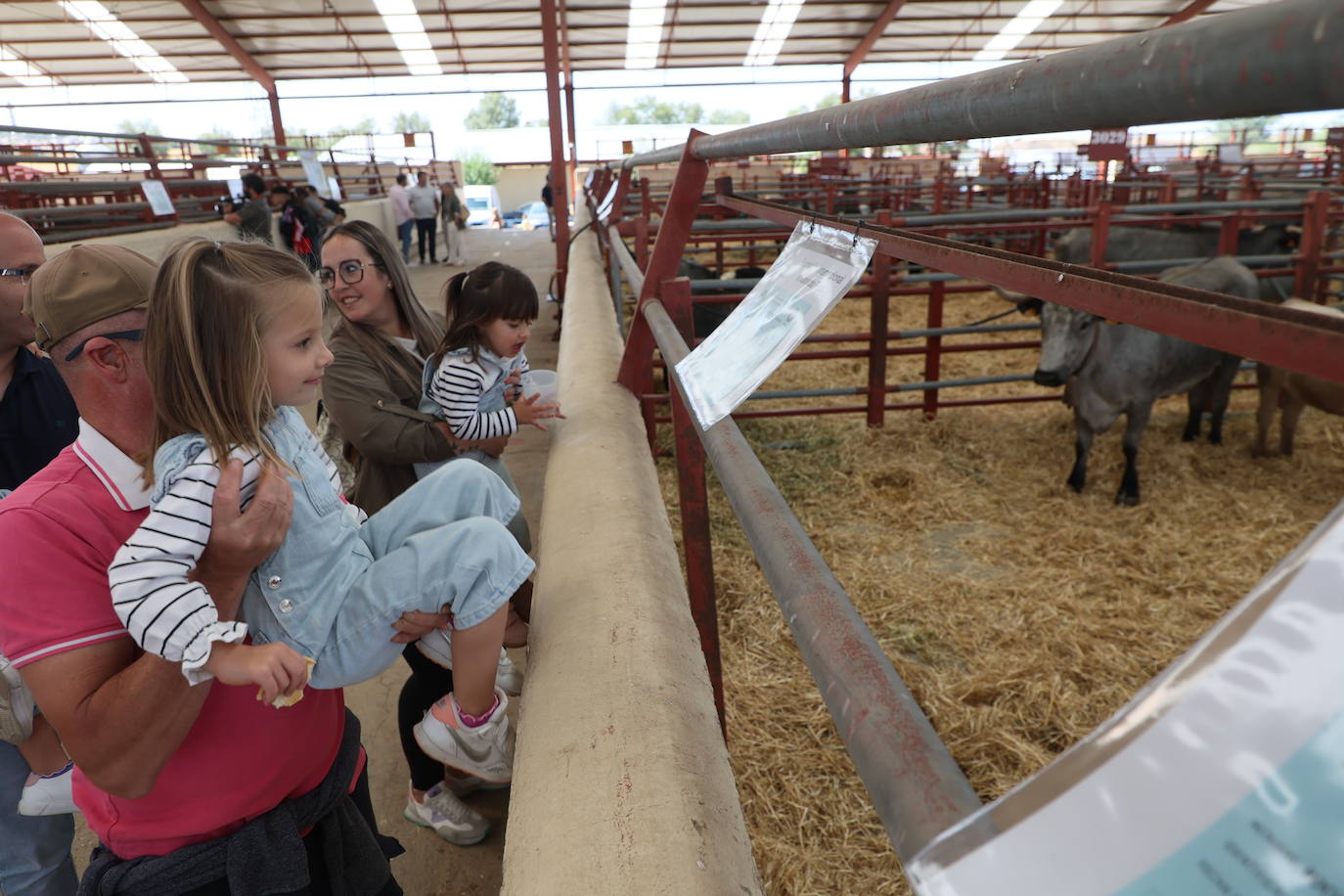 Las mejores imágenes del primer día de Salamaq 2025