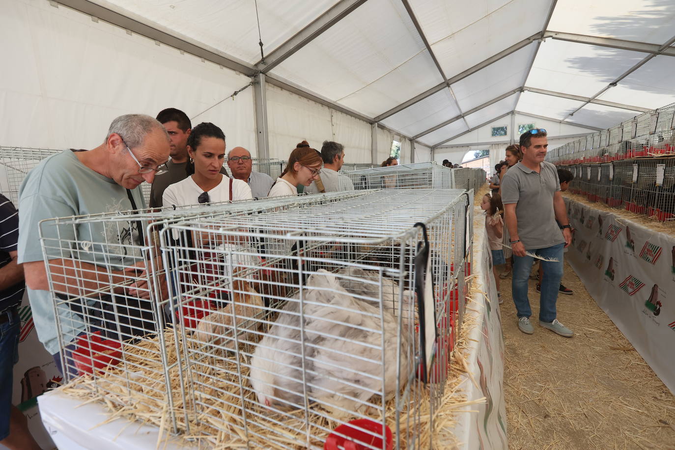 Las mejores imágenes del primer día de Salamaq 2025