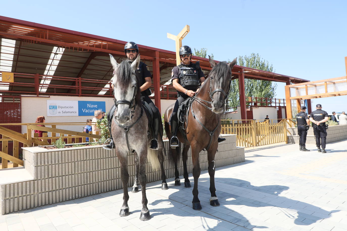 Las mejores imágenes del primer día de Salamaq 2025