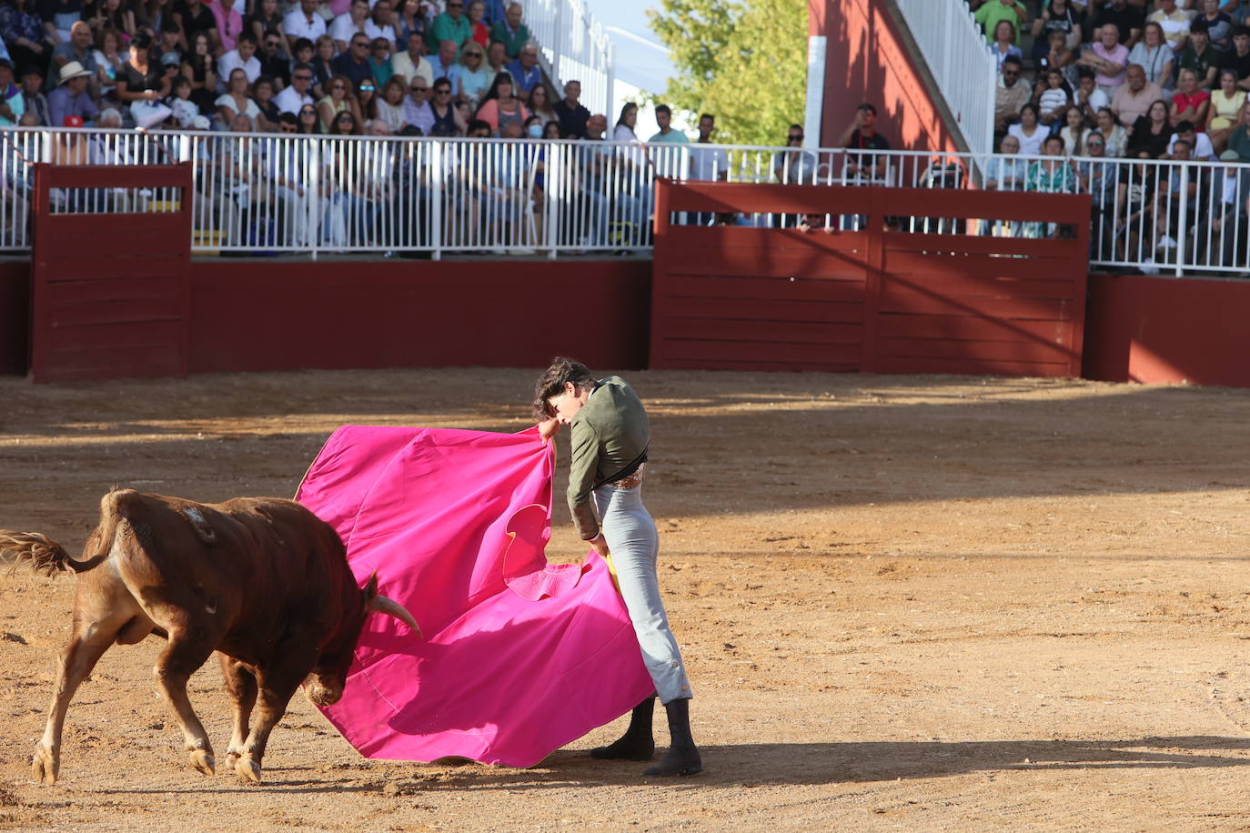 Dos orejas para Berdejo, Vanegas y Panero