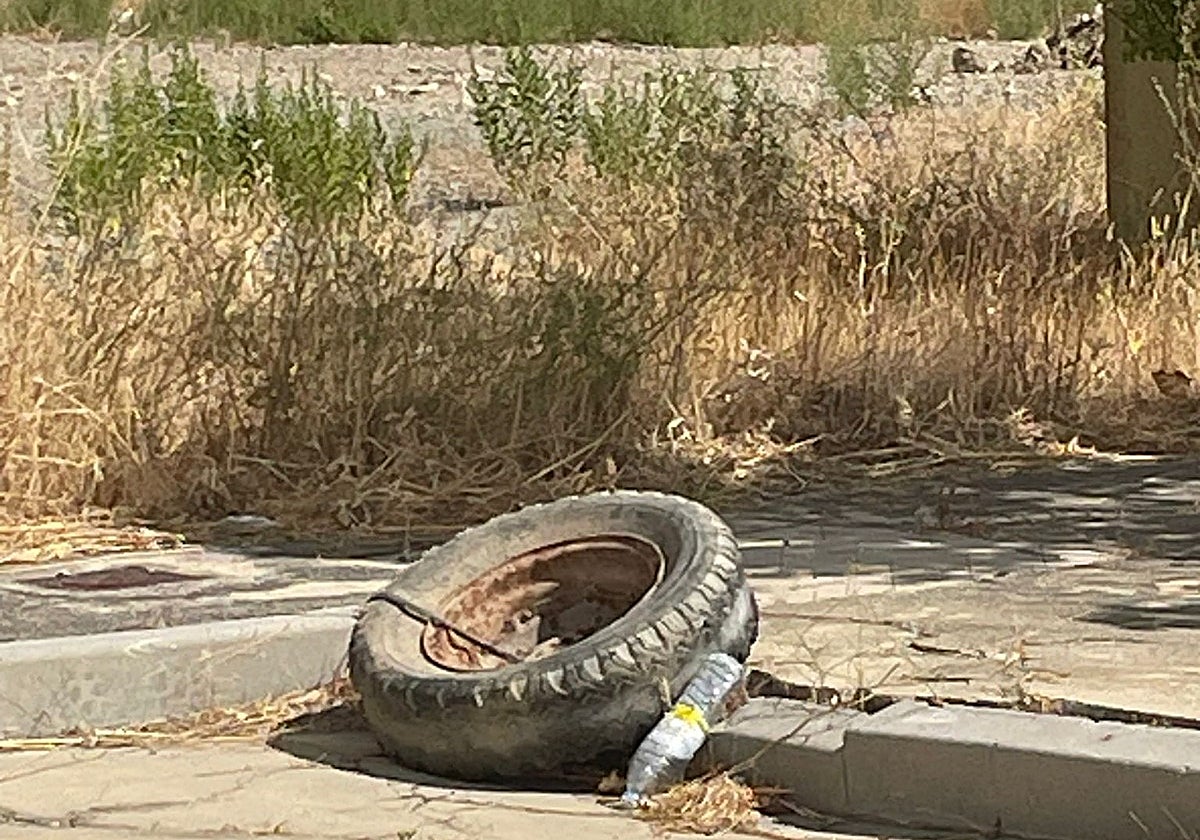 Imagen de detalle en Peñaranda.