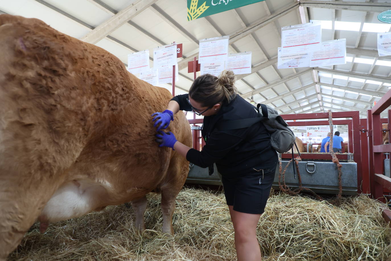 Las mejores imágenes del segundo día de Salamaq 2025