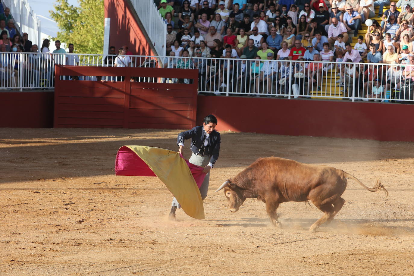Dos orejas para Berdejo, Vanegas y Panero