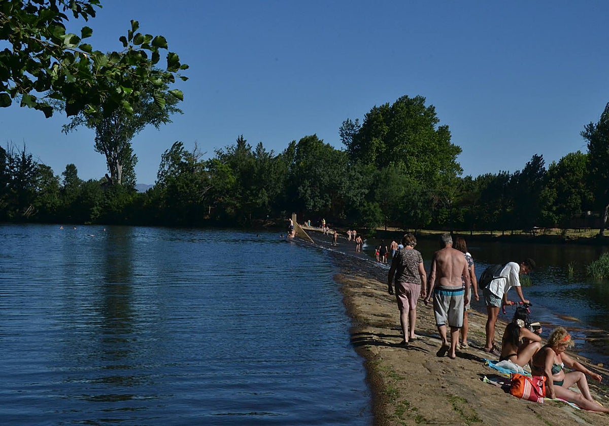 Bañistas en la zona de la Pesquera durante este verano.