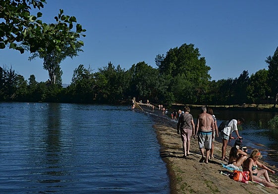Bañistas en la zona de la Pesquera durante este verano.