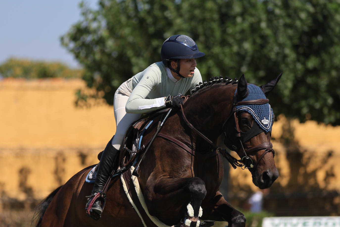 Ambientazo en la primera jornada de un concurso de saltos que enamora a Salamanca