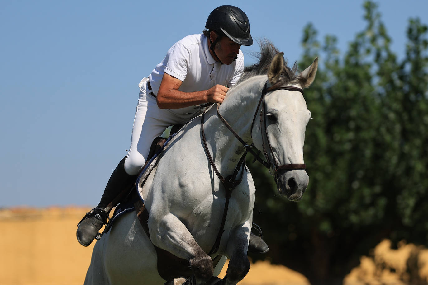 Ambientazo en la primera jornada de un concurso de saltos que enamora a Salamanca