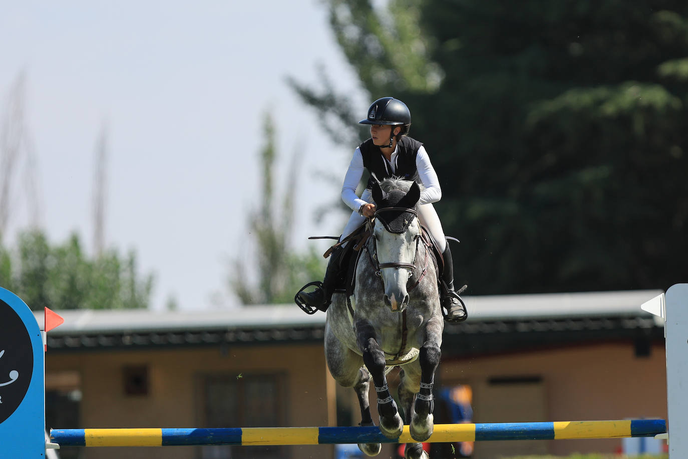 Ambientazo en la primera jornada de un concurso de saltos que enamora a Salamanca