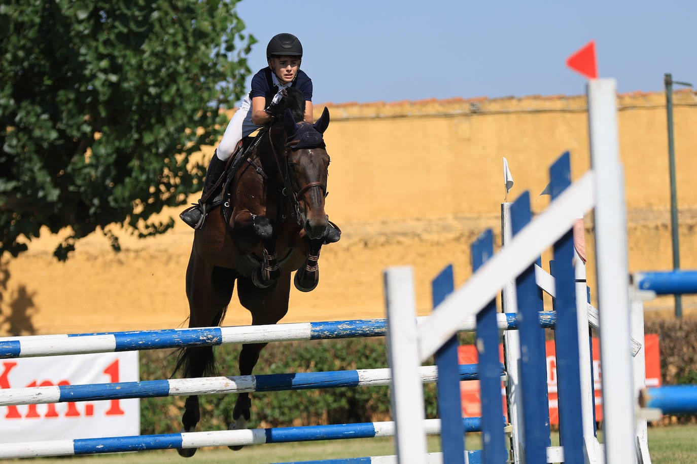Ambientazo en la primera jornada de un concurso de saltos que enamora a Salamanca