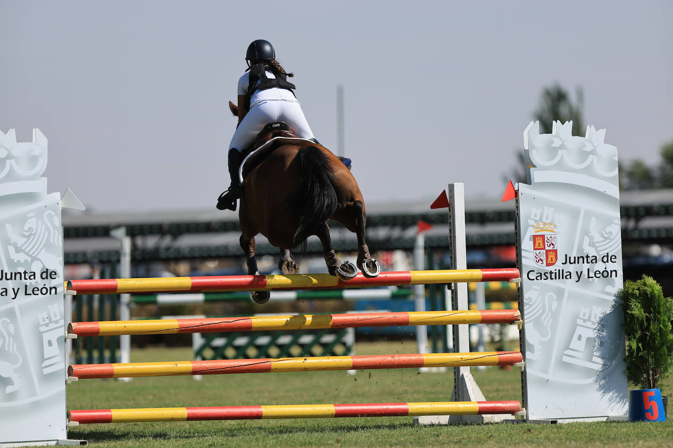 Ambientazo en la primera jornada de un concurso de saltos que enamora a Salamanca