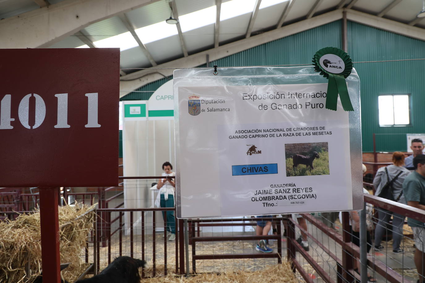 Las mejores imágenes del segundo día de Salamaq 2025