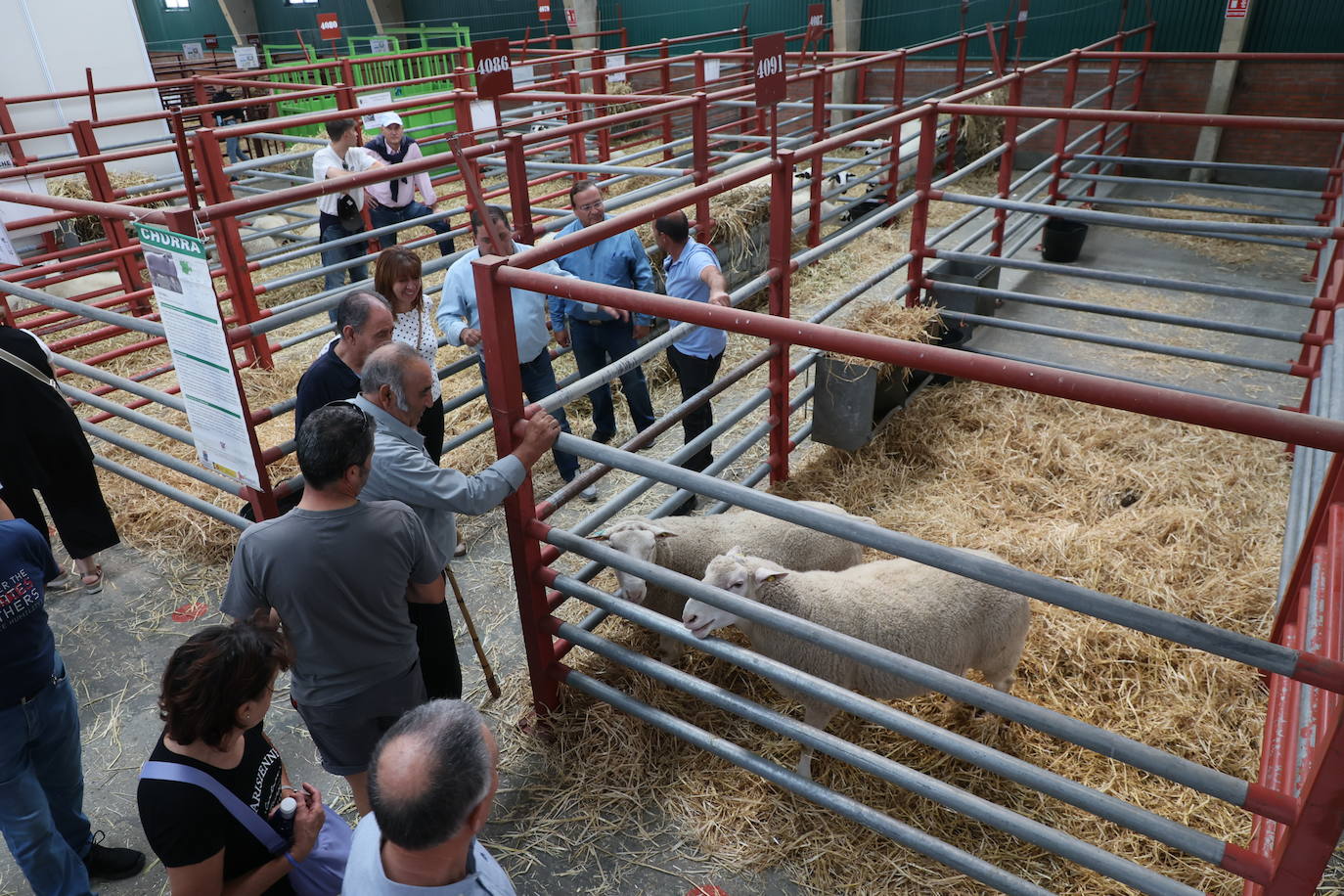 Las mejores imágenes del segundo día de Salamaq 2025