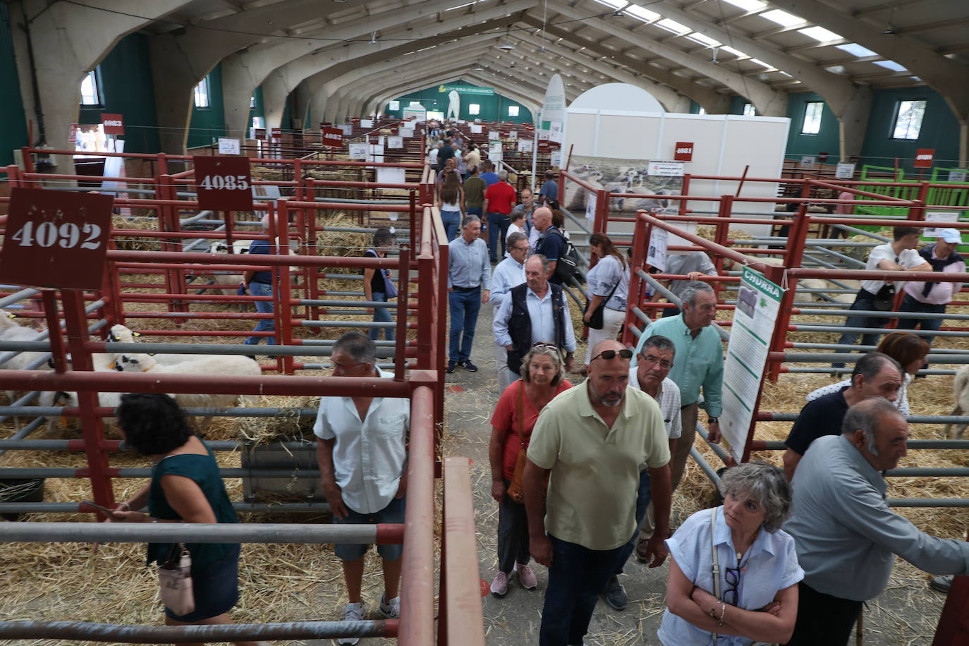 Las mejores imágenes del segundo día de Salamaq 2025