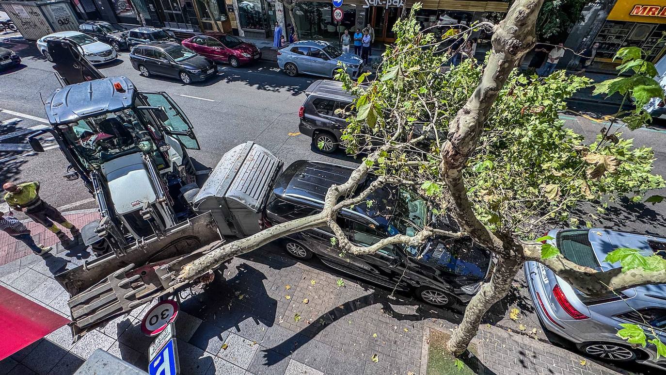 Qué ha ocurrido este viernes 5 de septiembre en Salamanca