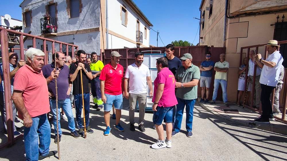 Un utrero de 540 kilos llena las calles de Macotera