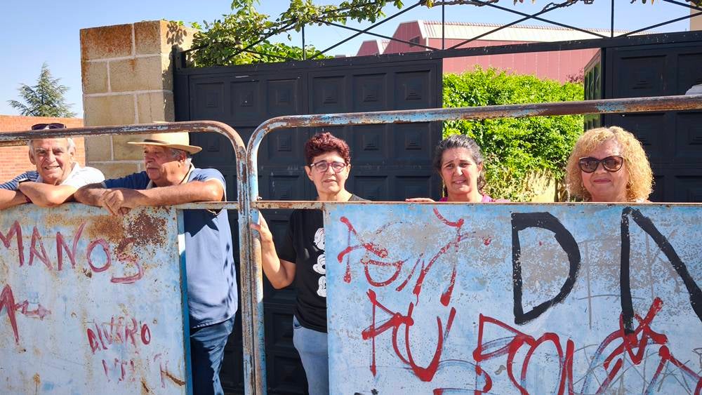 Entretenida mañana con los minibueyes en Macotera