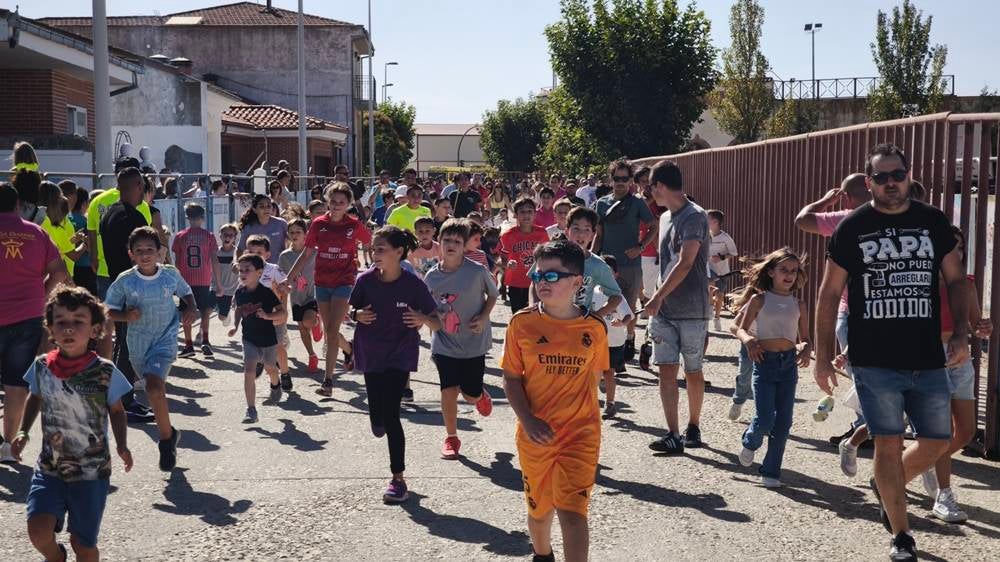 Entretenida mañana con los minibueyes en Macotera