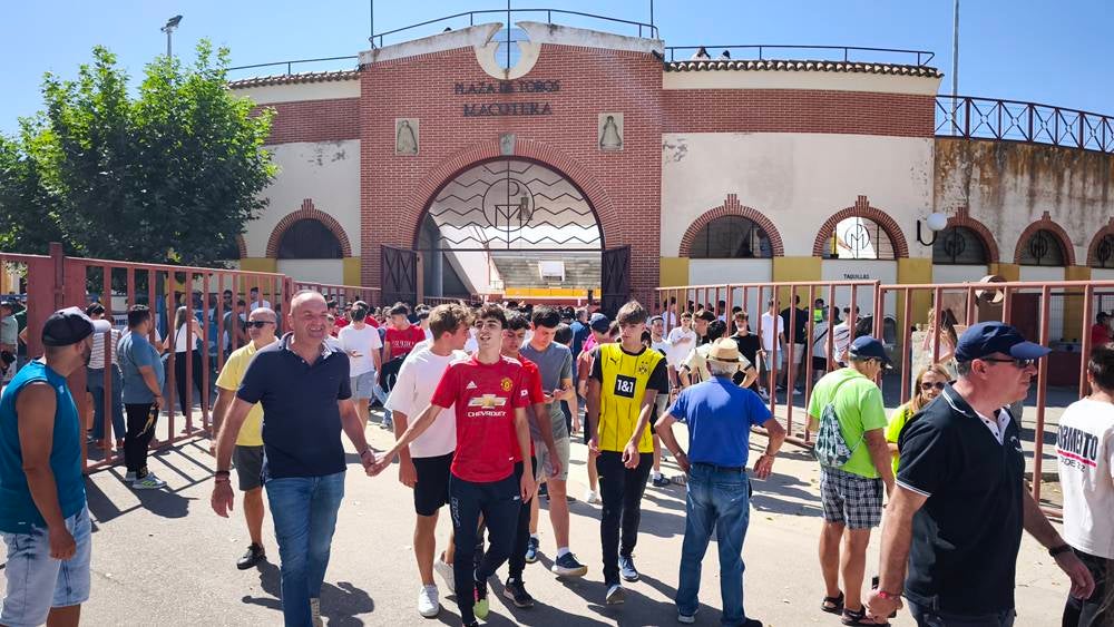 Un utrero de 540 kilos llena las calles de Macotera