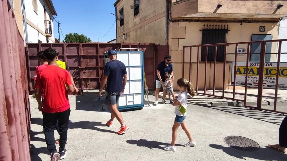 Un utrero de 540 kilos llena las calles de Macotera