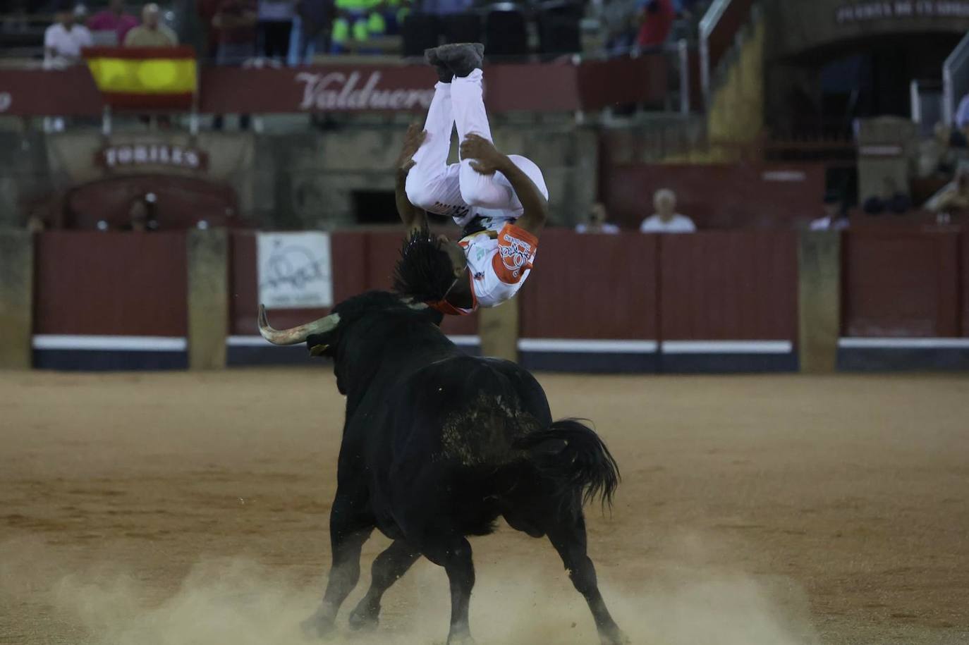 Las mejores imágenes del espectacular concurso de recortes que abrió la Feria en La Glorieta