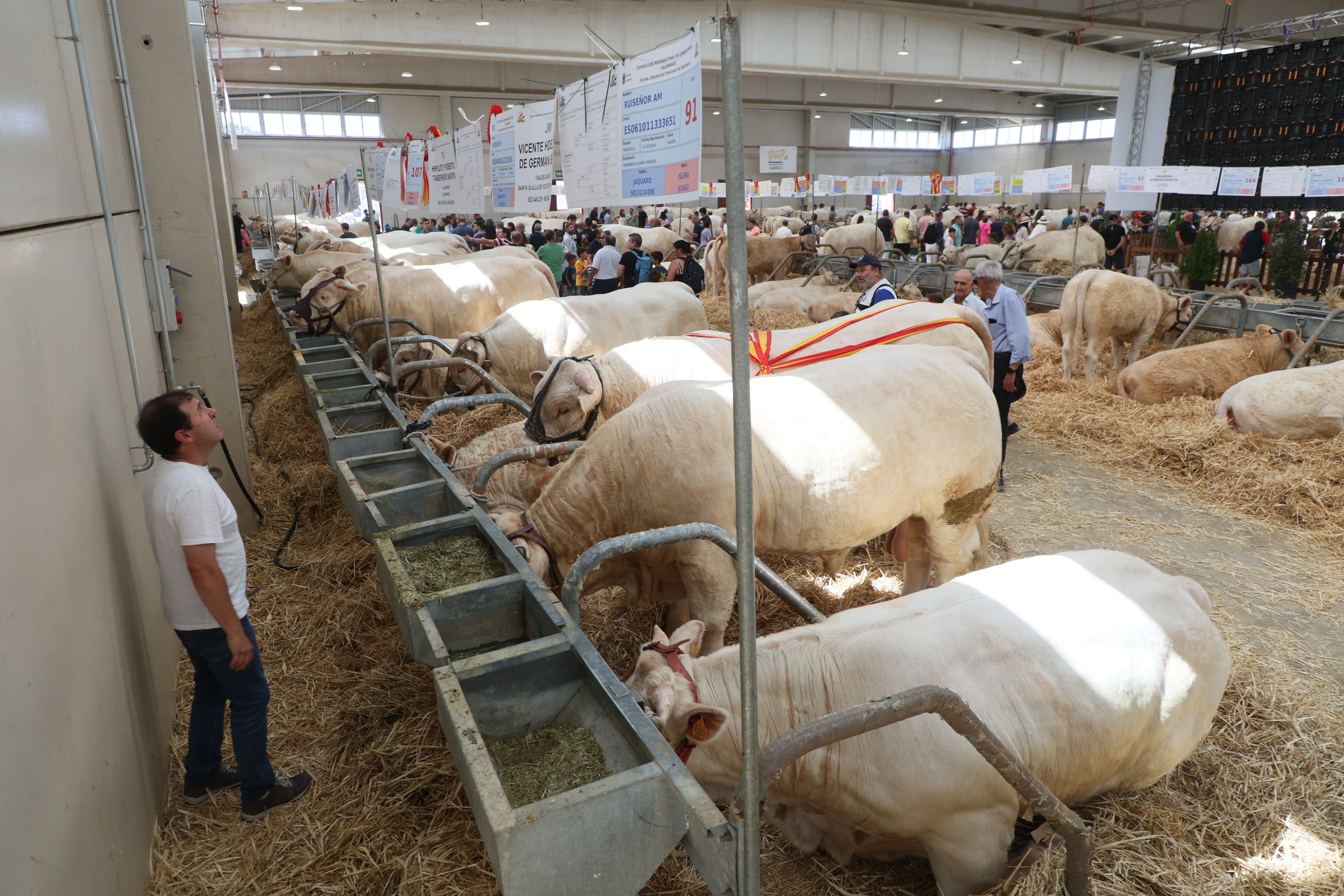 Las mejores imágenes del tercer día de Salamaq 2025