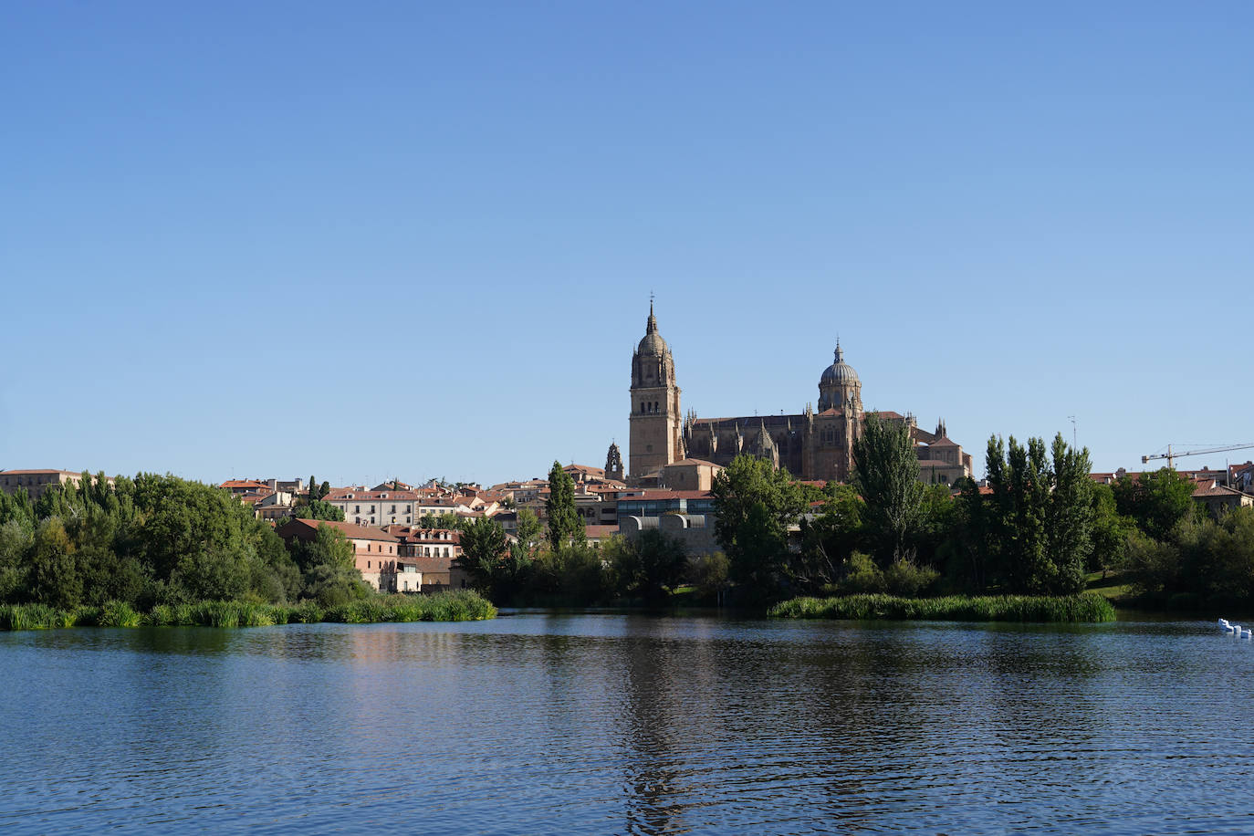 Las mejores imágenes de un sábado muy deportivo de las Ferias y Fiestas