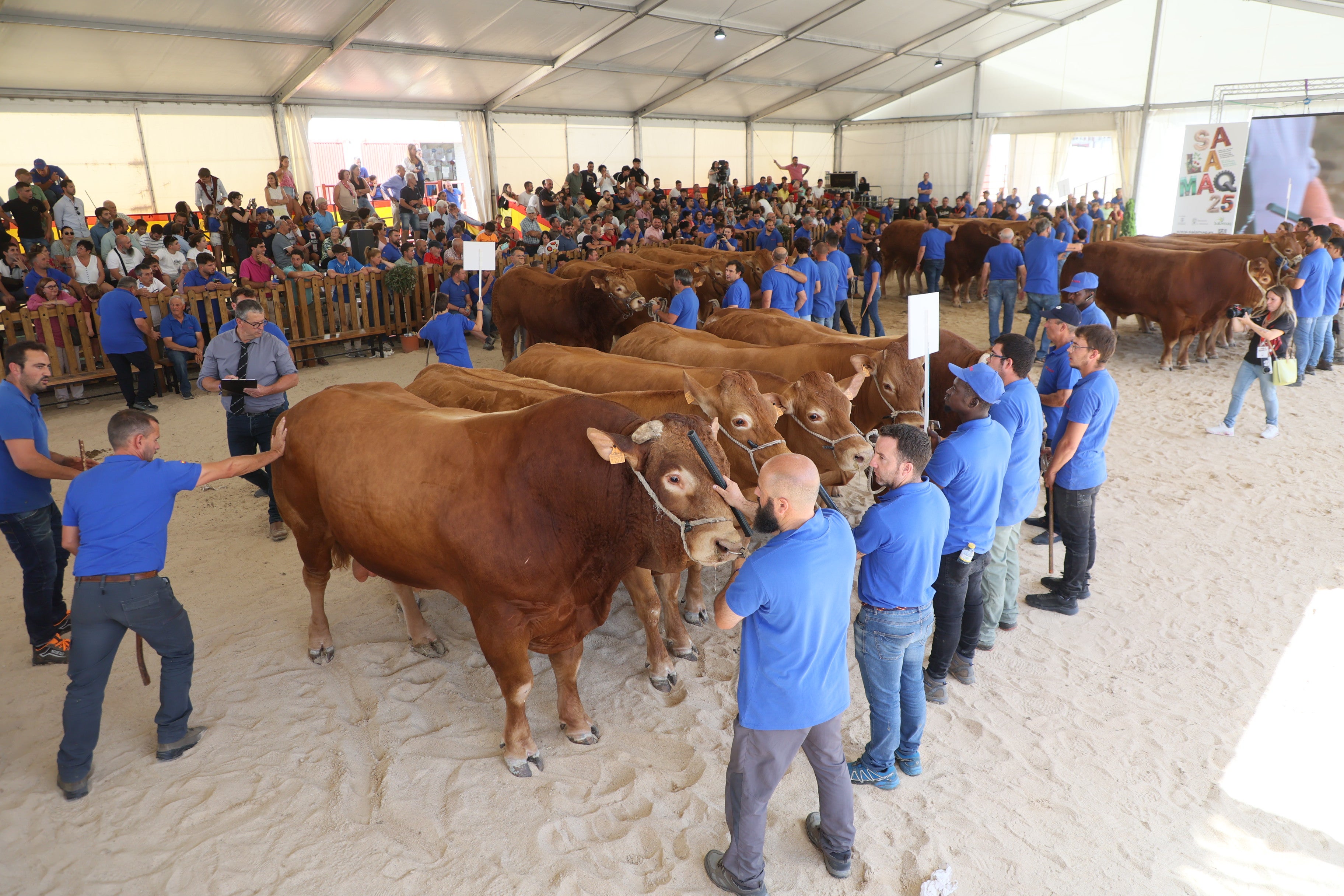 Las mejores imágenes del tercer día de Salamaq 2025