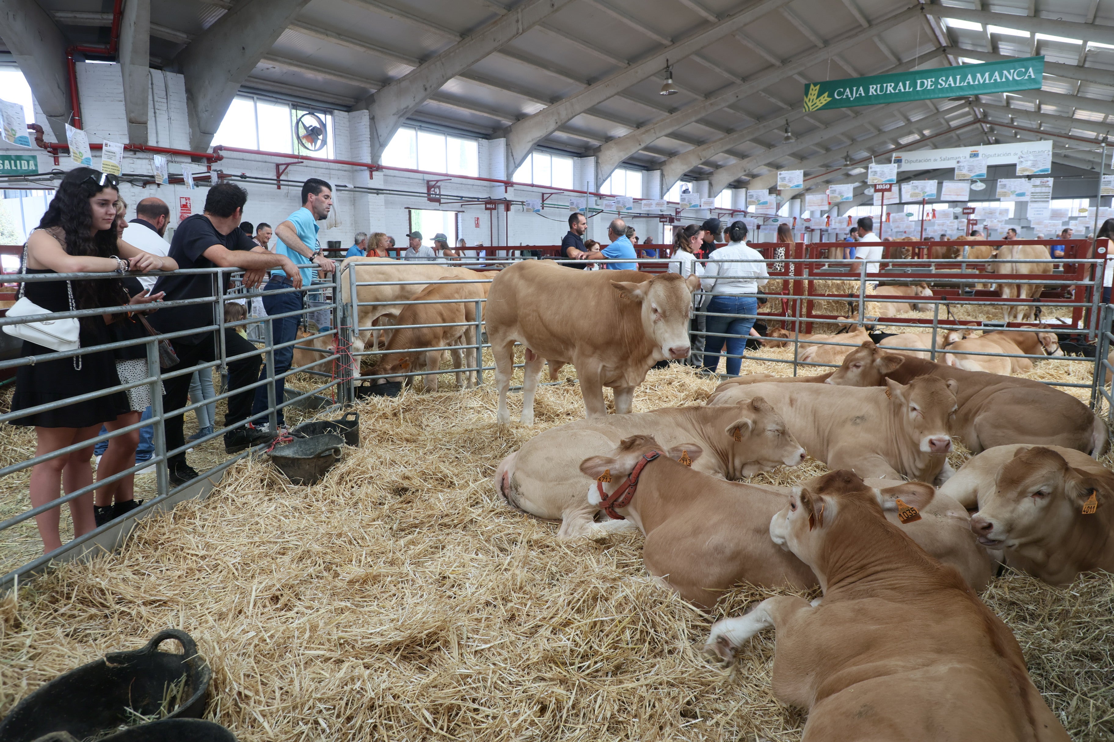 Las mejores imágenes del tercer día de Salamaq 2025