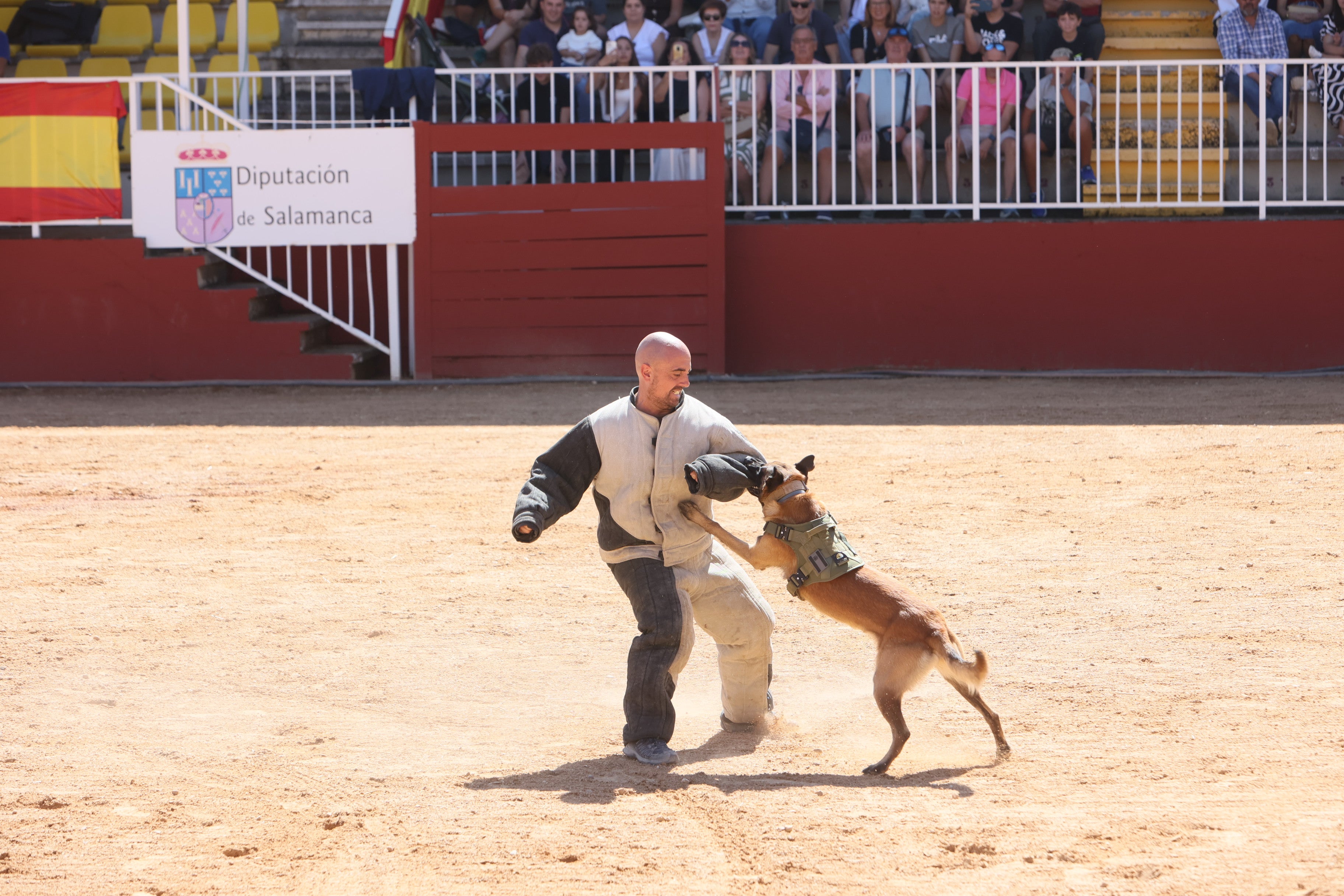 Las mejores imágenes del tercer día de Salamaq 2025