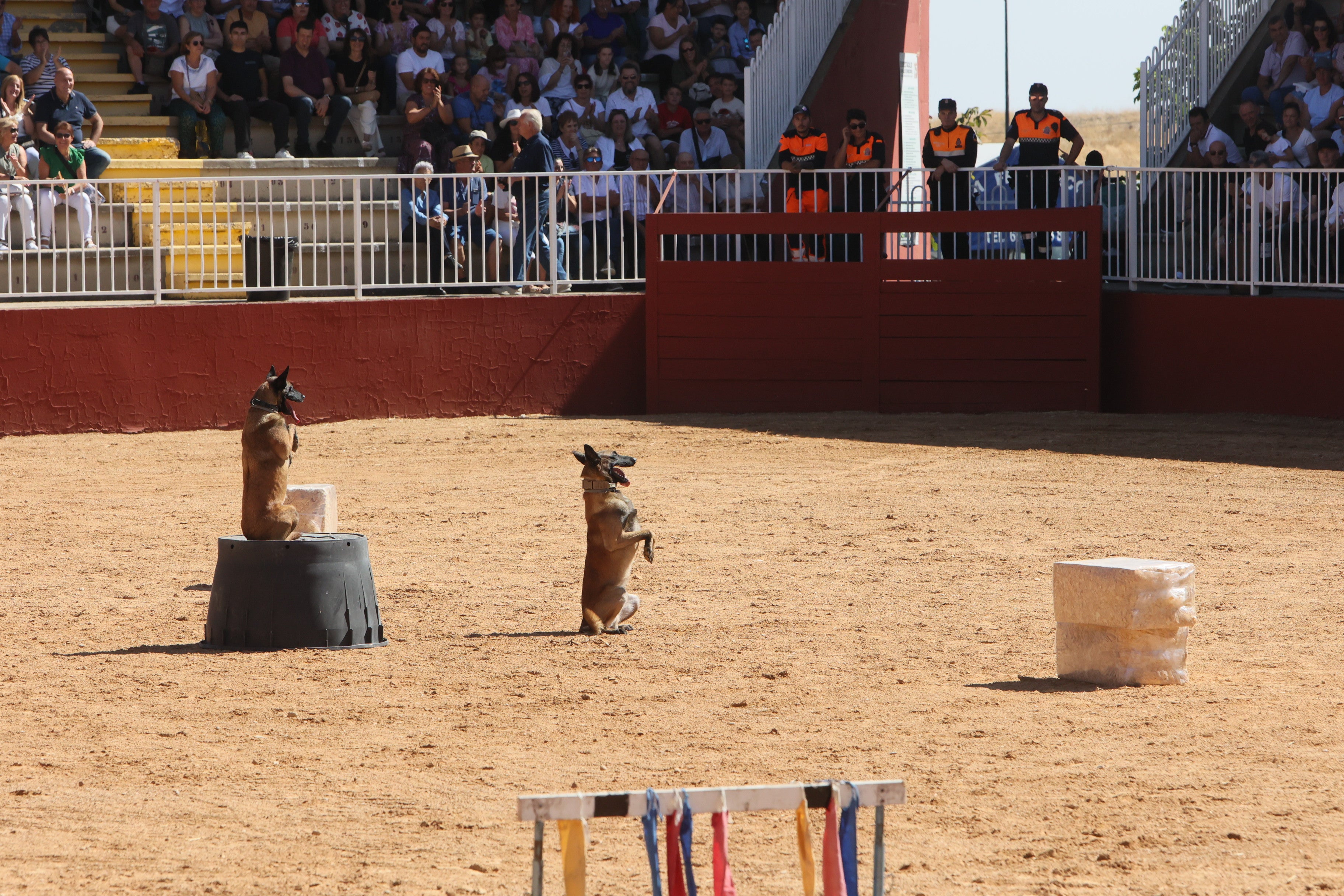 Las mejores imágenes del tercer día de Salamaq 2025