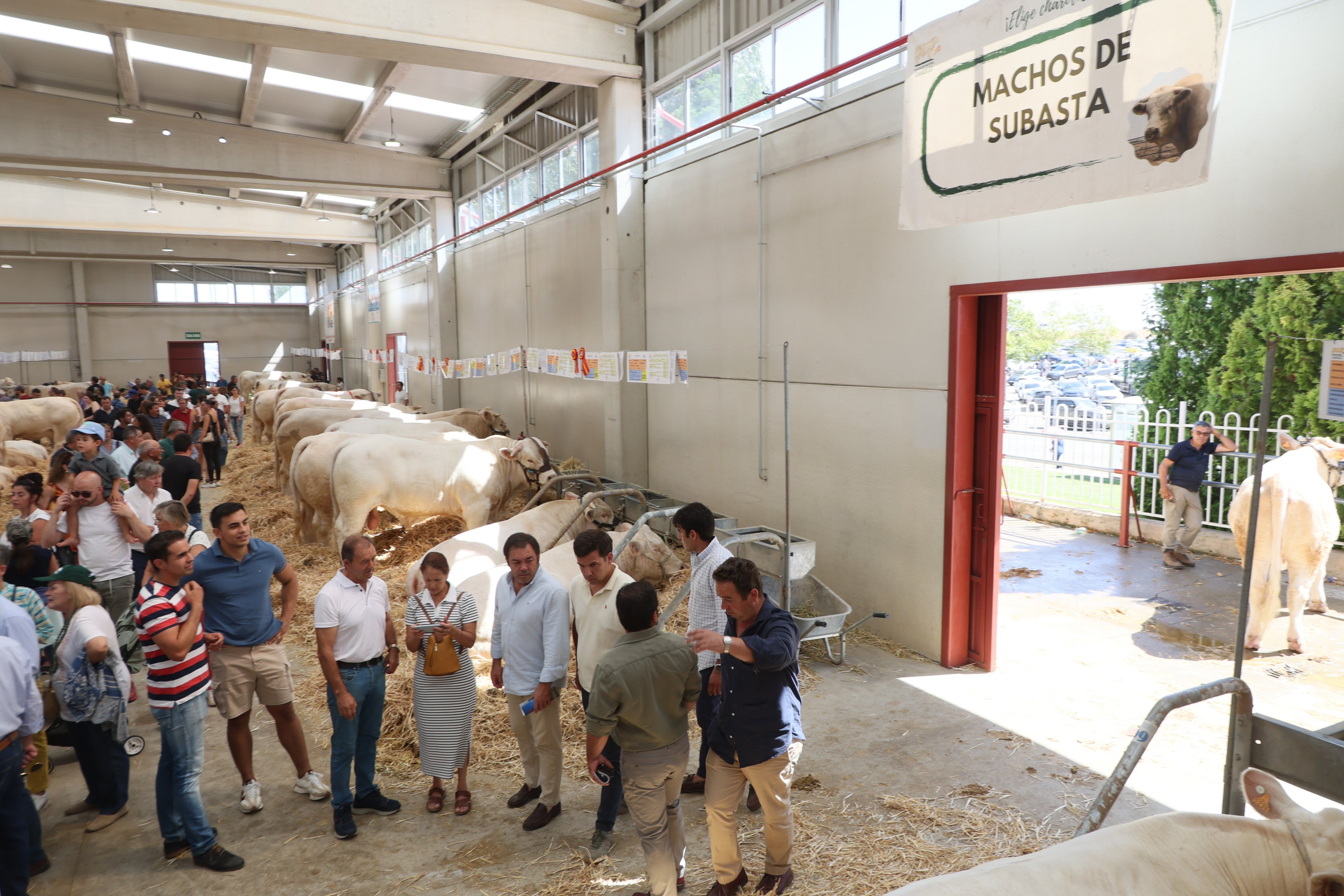 Las mejores imágenes del tercer día de Salamaq 2025