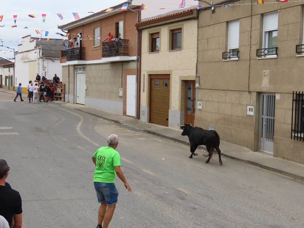 1.800 raciones de paella en Villoria