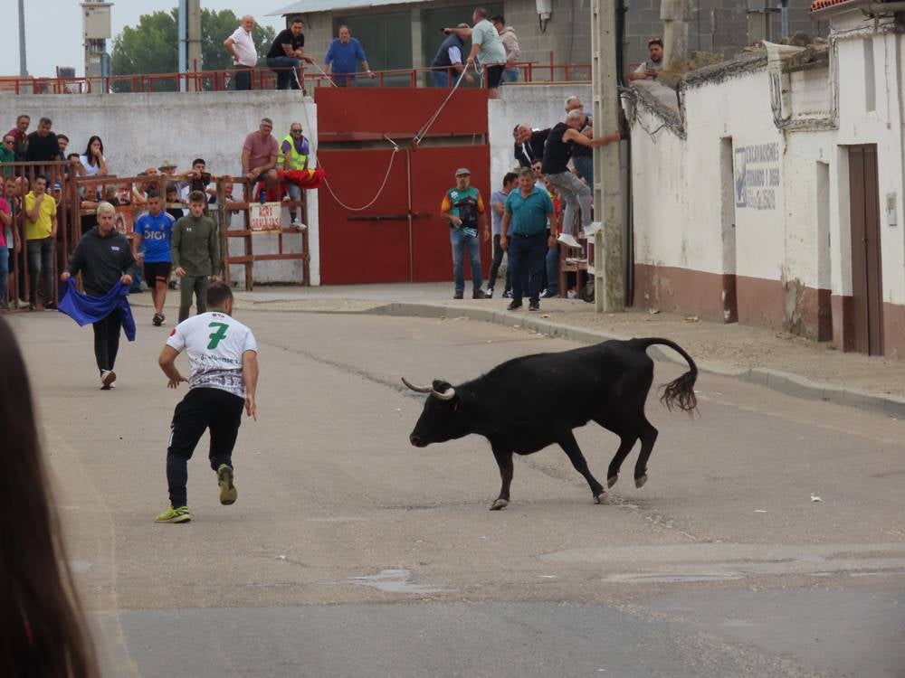 1.800 raciones de paella en Villoria