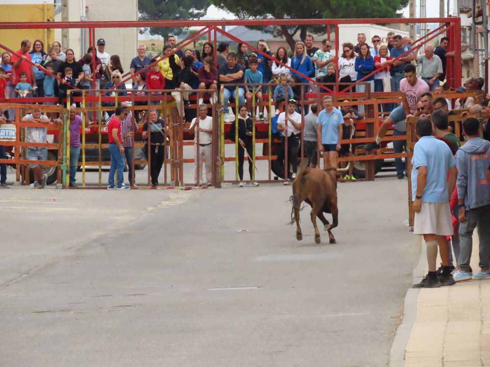 1.800 raciones de paella en Villoria