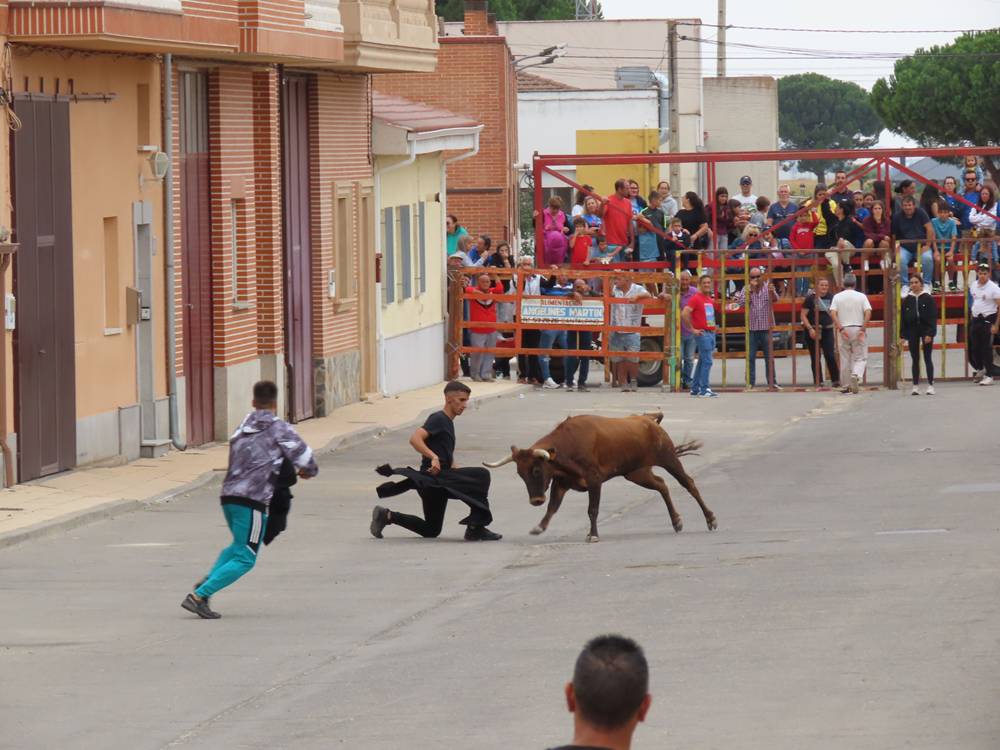 1.800 raciones de paella en Villoria
